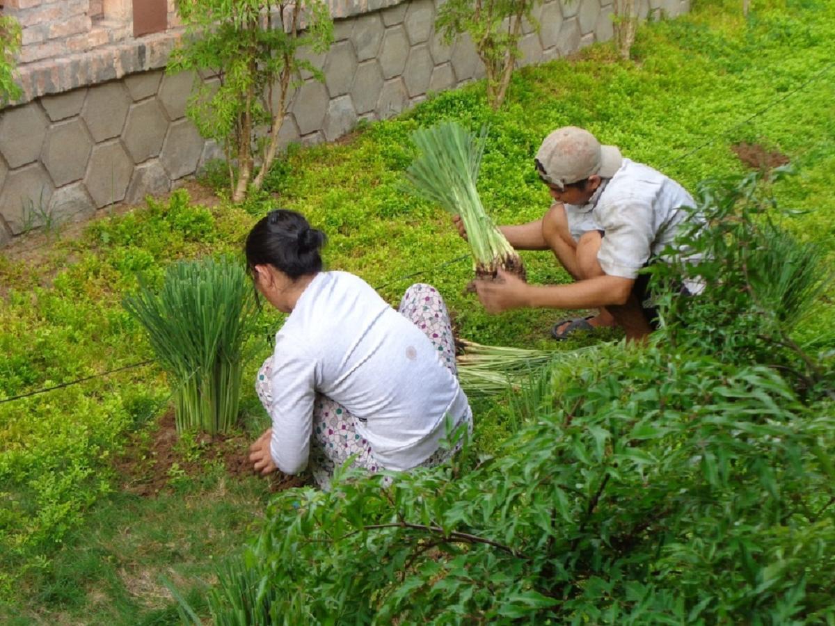 Gite Nam Hien Mekong Cho Lach Екстер'єр фото